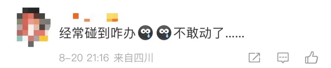 是真的！捉1只就違法,！網(wǎng)友蒙了：在家經(jīng)常碰到......