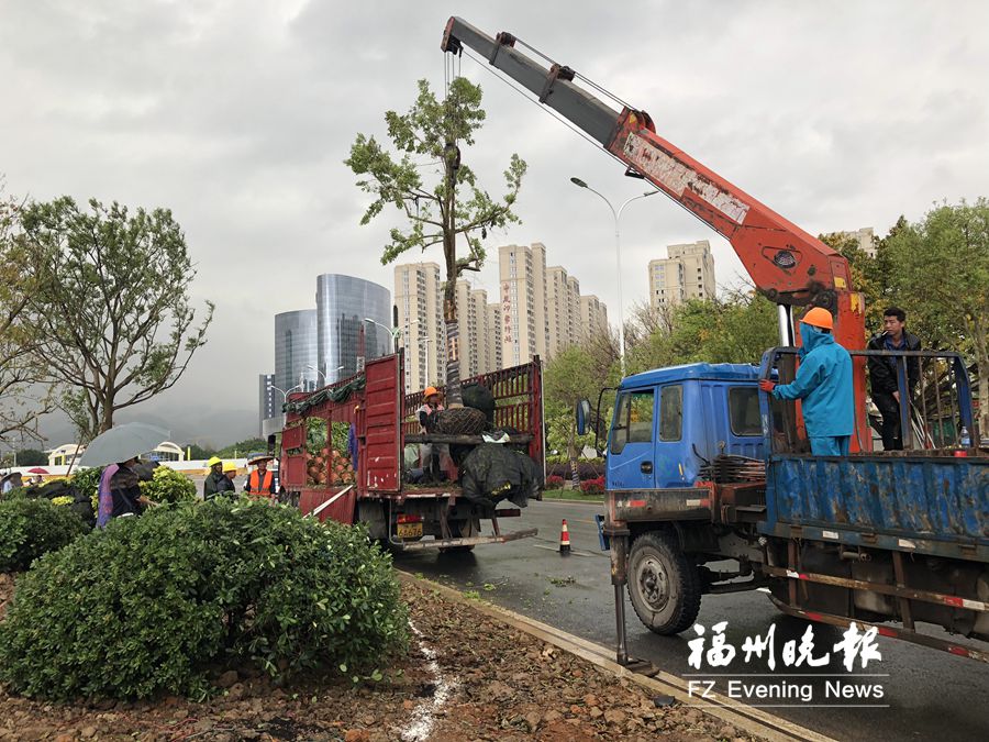 福州26條重點道路向彩化香化升級