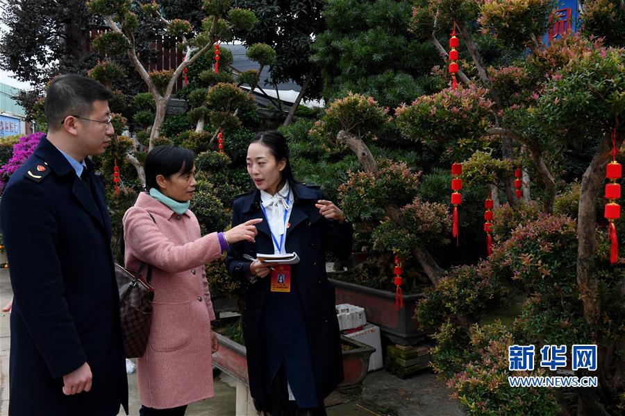 （社會(huì)）（2）福州：嚴(yán)查違規(guī)收送名貴花卉