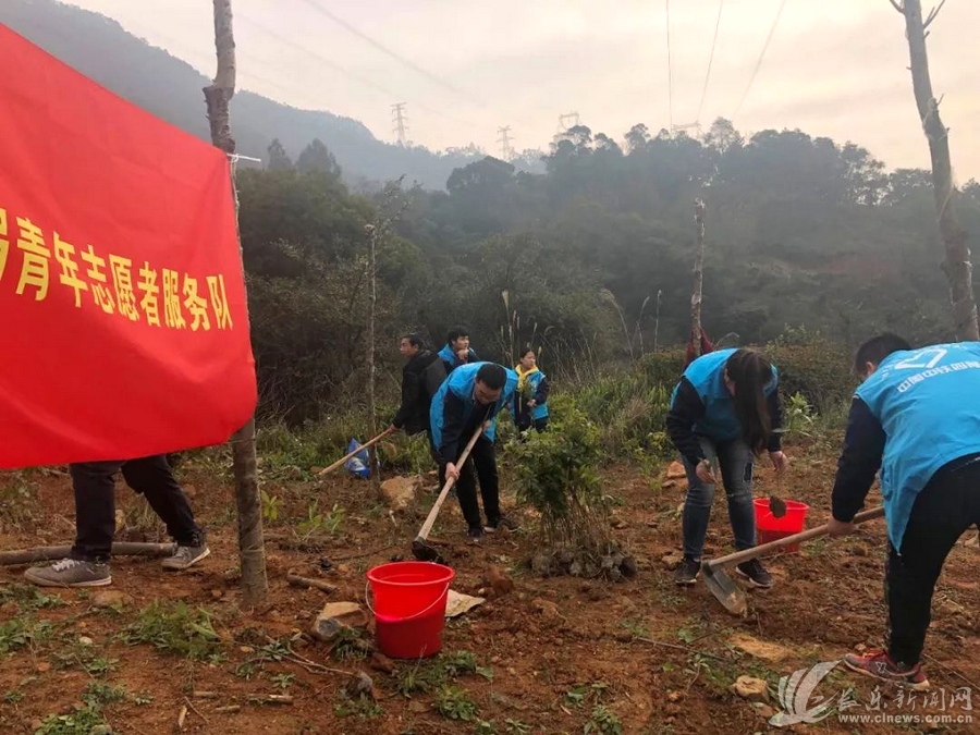 鶴上鎮(zhèn)植樹造林_看圖王.jpg