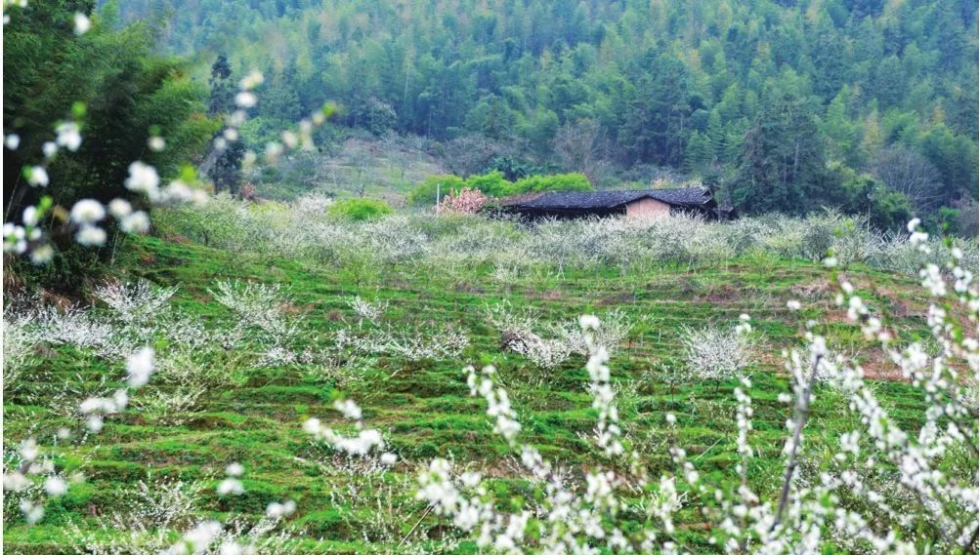 福建首批“金牌旅游村” 名單出爐,！福州這3個村入選